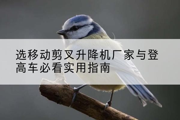 宿松电动升降机厂家-选移动剪叉升降机厂家与登高车必看实用指南