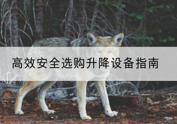 宿松升降货梯厂家推荐-*安全选购升降设备指南